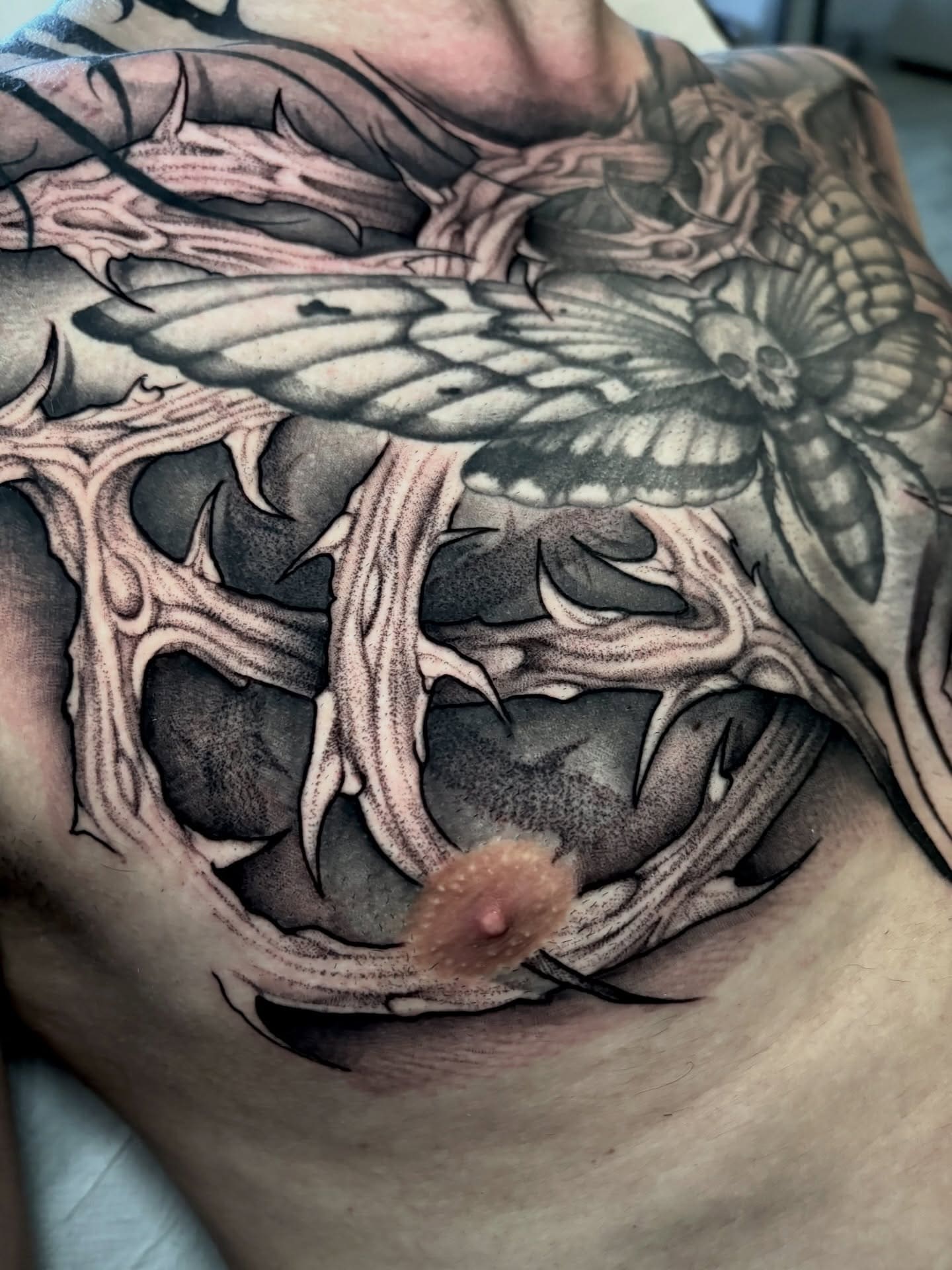Tatuaggio Korpus Domini Alba